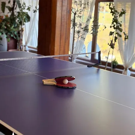 парк-хотел родопи