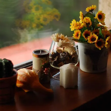 парк-хотел родопи