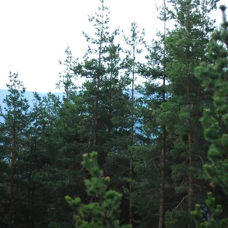 Ξενοδοχείο парк-хотел родопи Churen